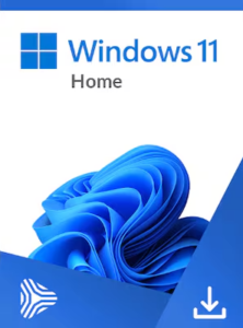 Windows 11 Home - Microsoft Key