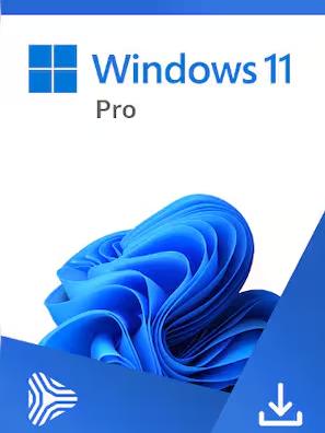 Microsoft Windows 11 Pro